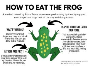 How to eat that frog: productivity hack